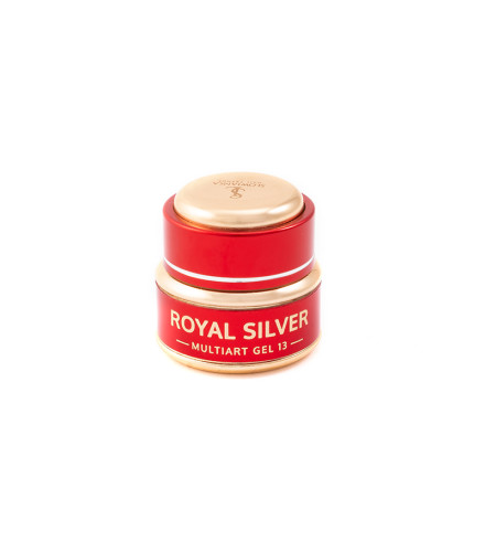 Multiart 13 Royal Silver 5g Gel | Slowianka Nails
