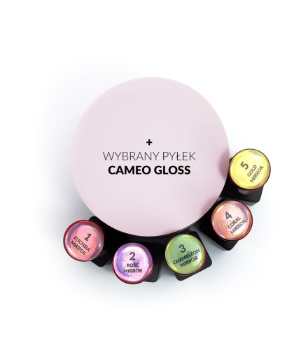 Set of 5xLiquid Mirror Powder + selected Cameo Gloss dust | Slowianka Nails